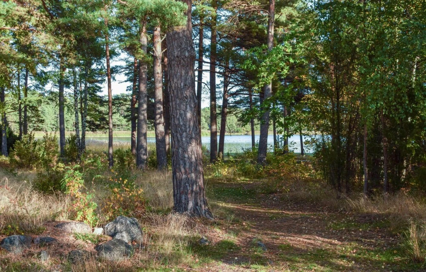 Stunning Home in Mönsterås With 3 Bedrooms and Wifi