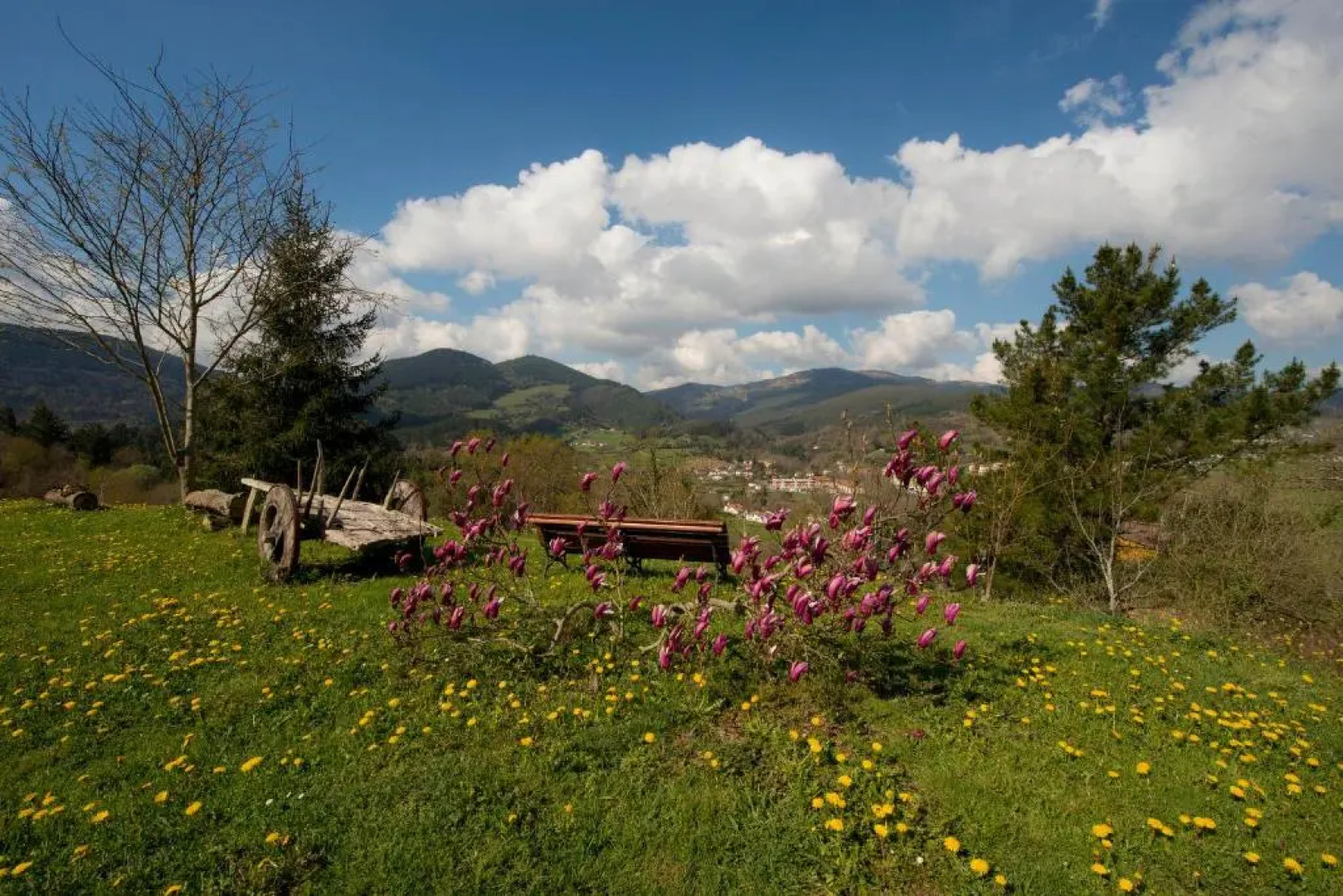 Apartamentos Turisticos Bizkar Bare