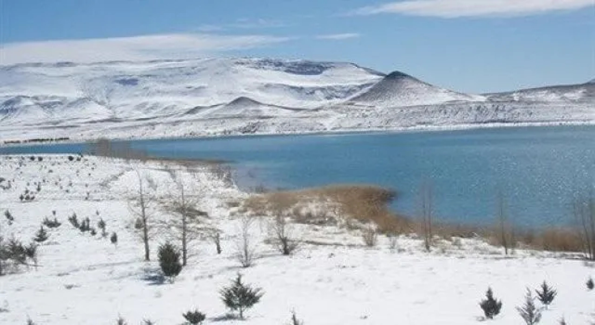 Complexe Collier D'Ambre