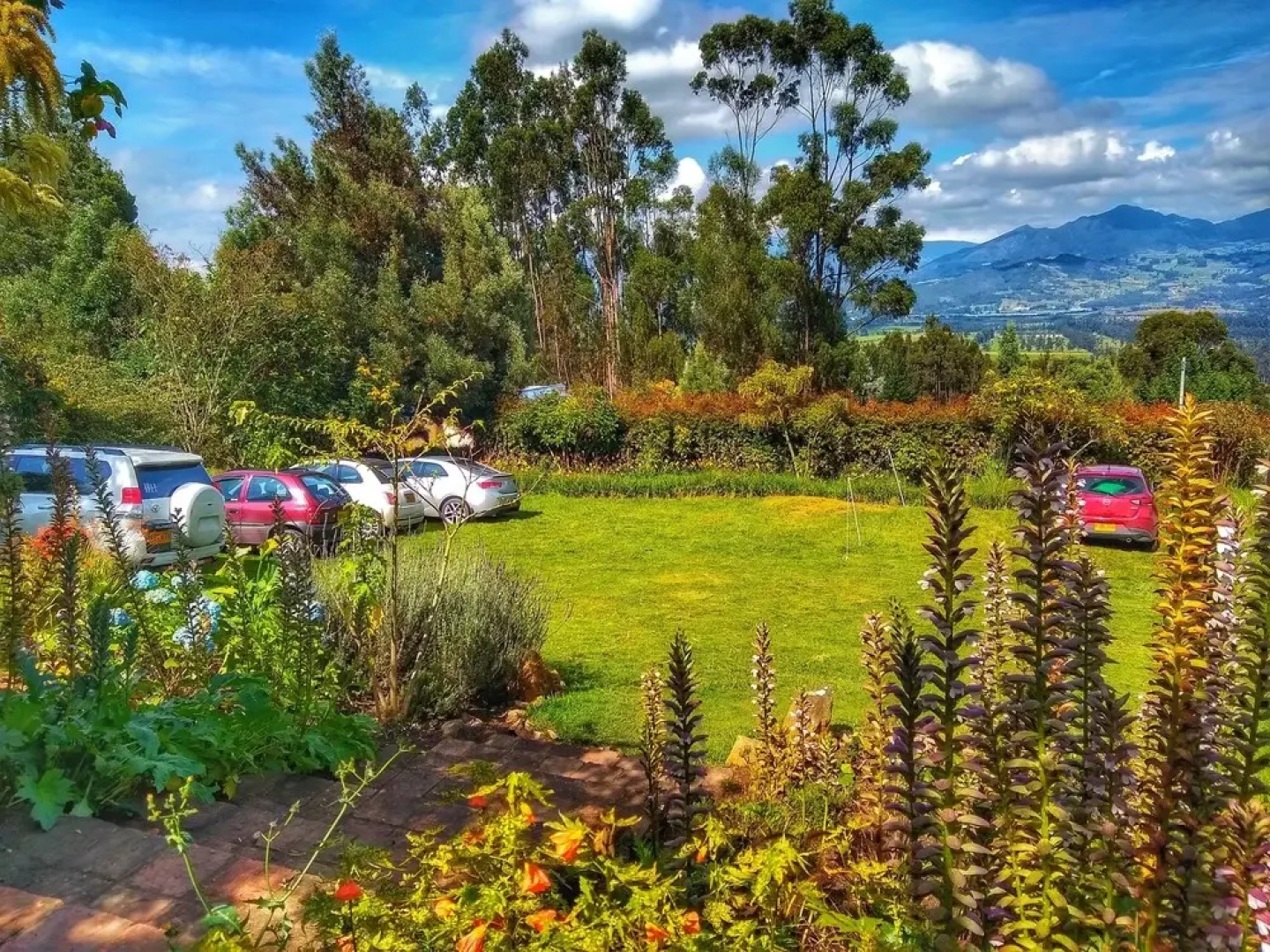 Finca Agrreste Bed & Breakfast