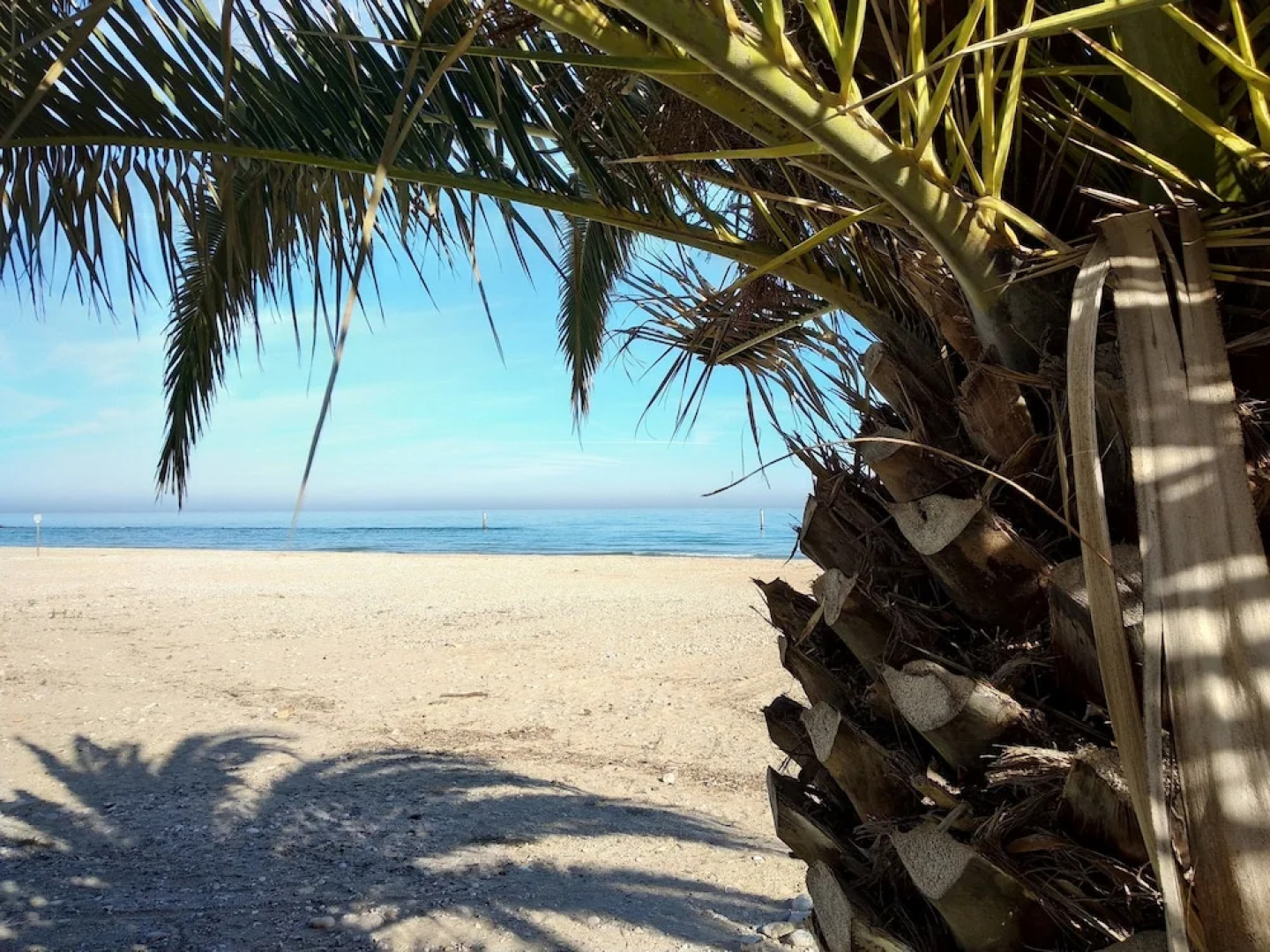 B&B Palazzo Mestichelli