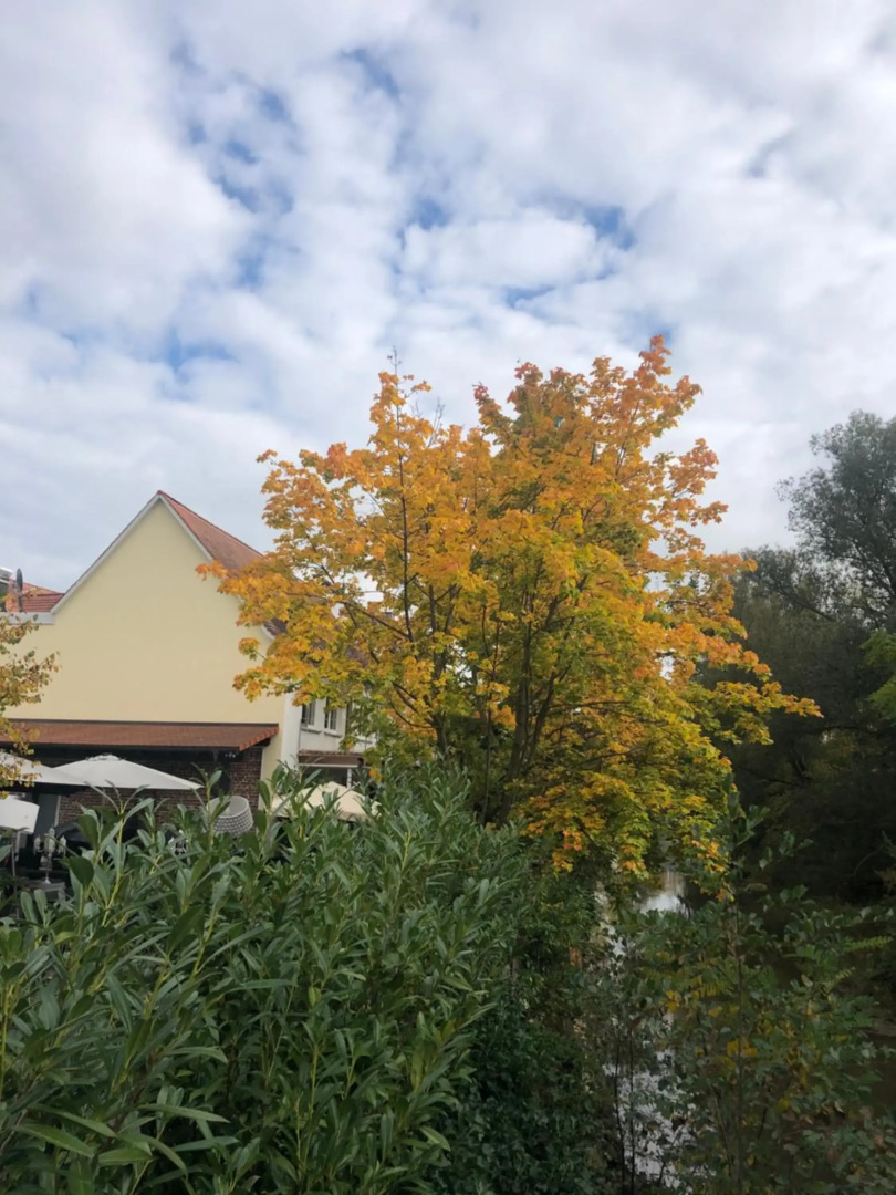Riverside apartment in central Herzogenaurach