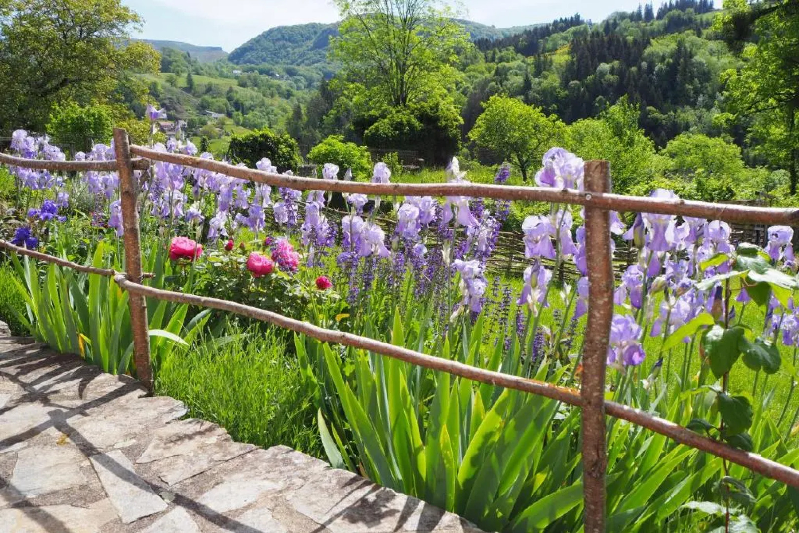 Domaine de la Jordanne - B&B