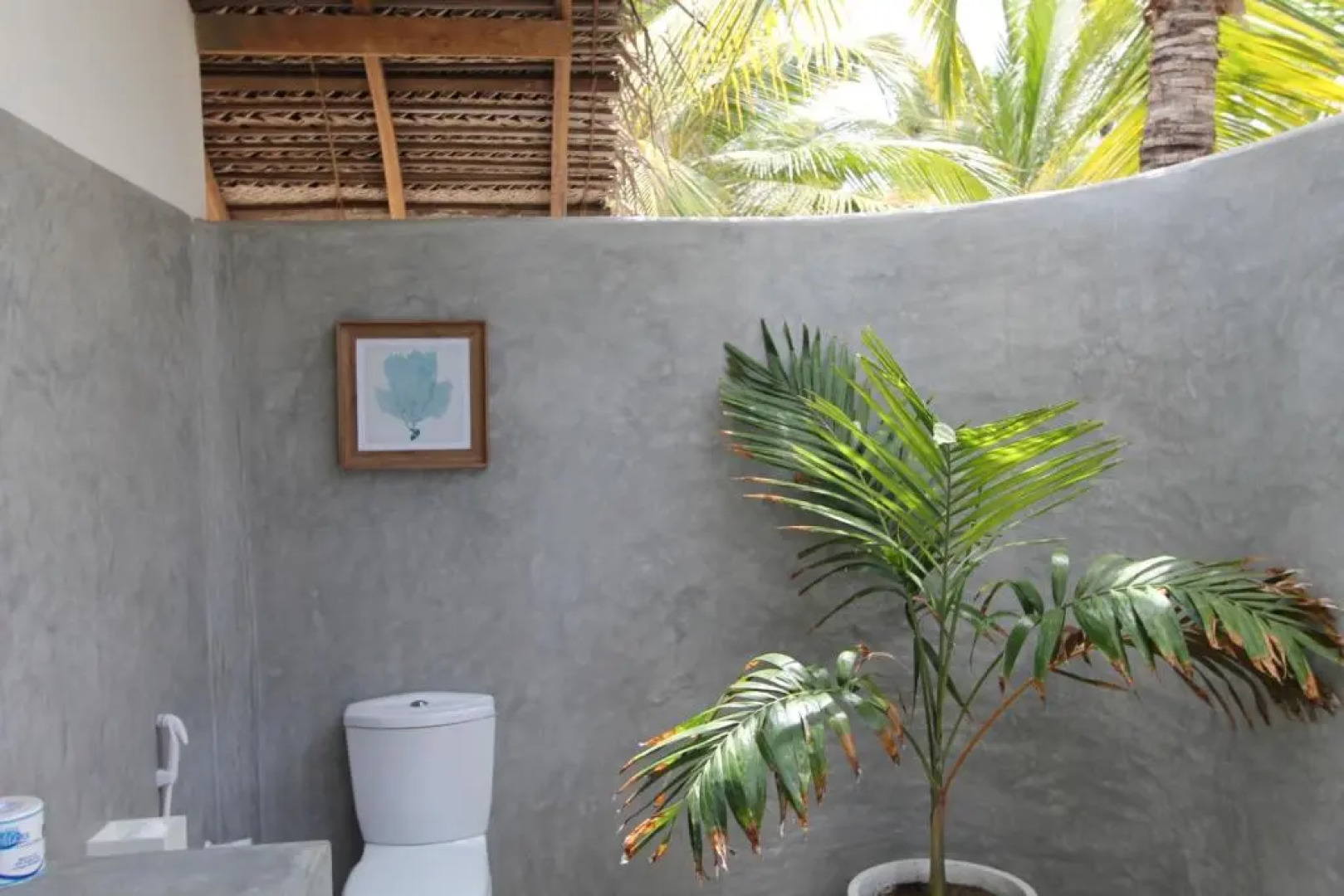 The Rascals Kite Resort