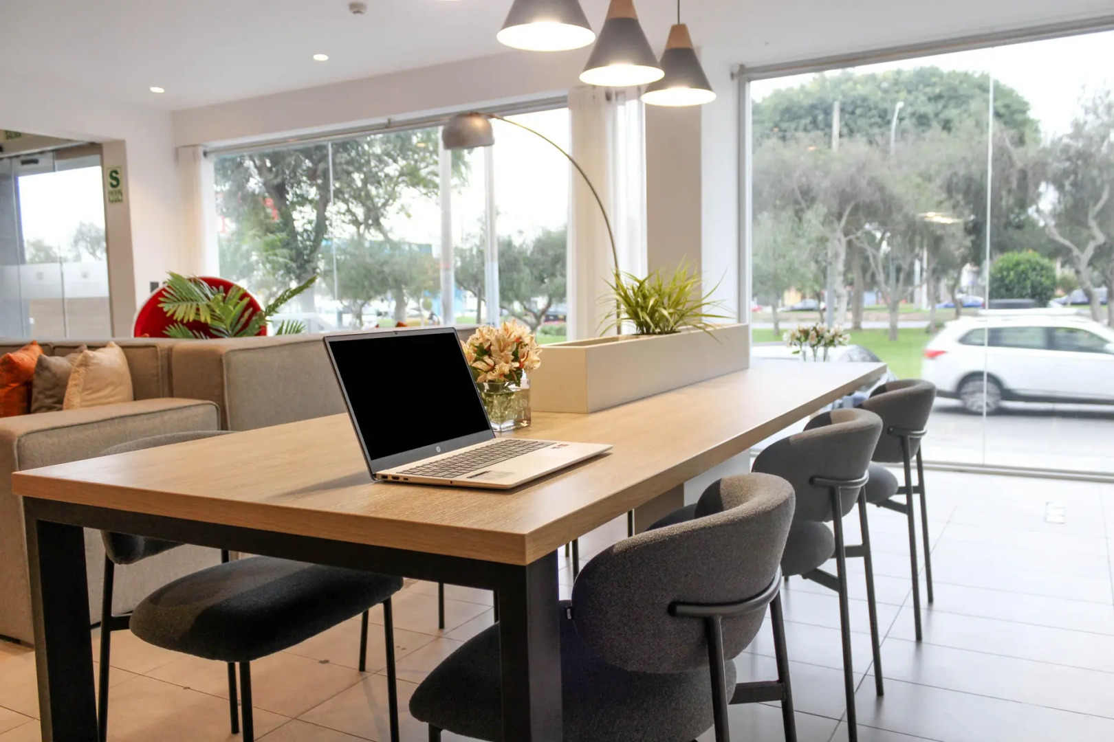 Palmetto Hotel Business San Miguel