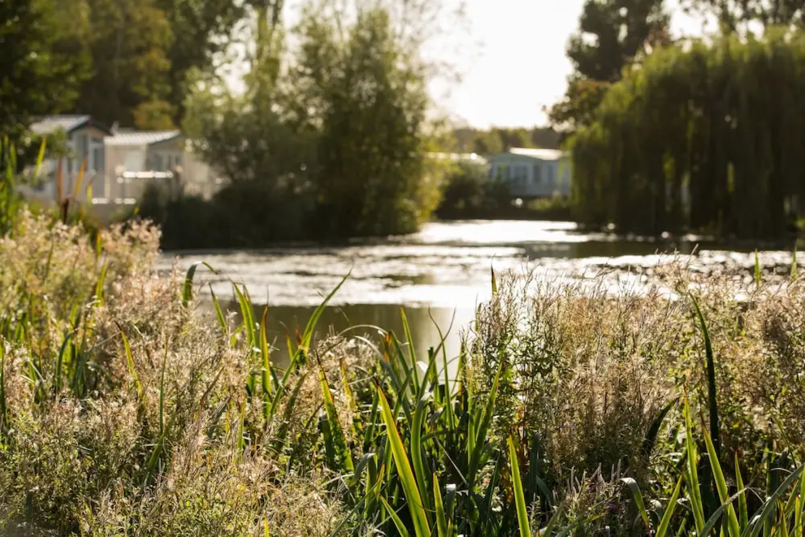 Mallard Lettings