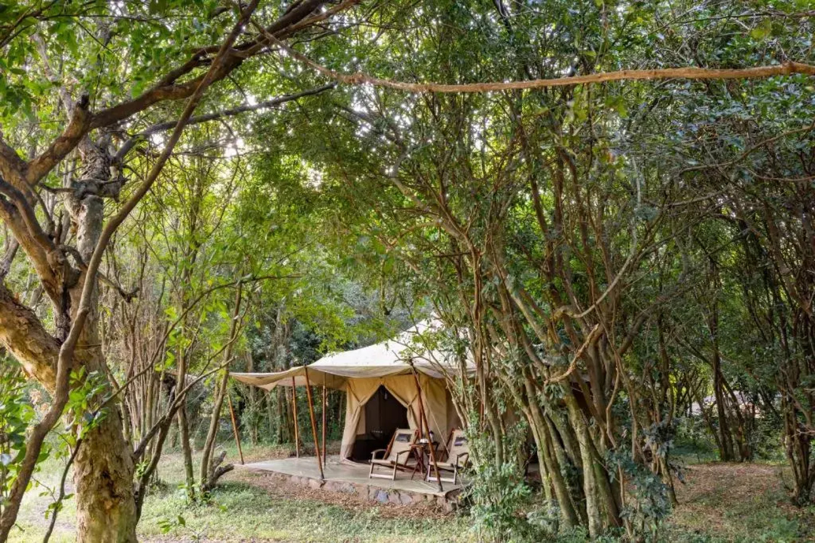 Sentinel Mara Camp