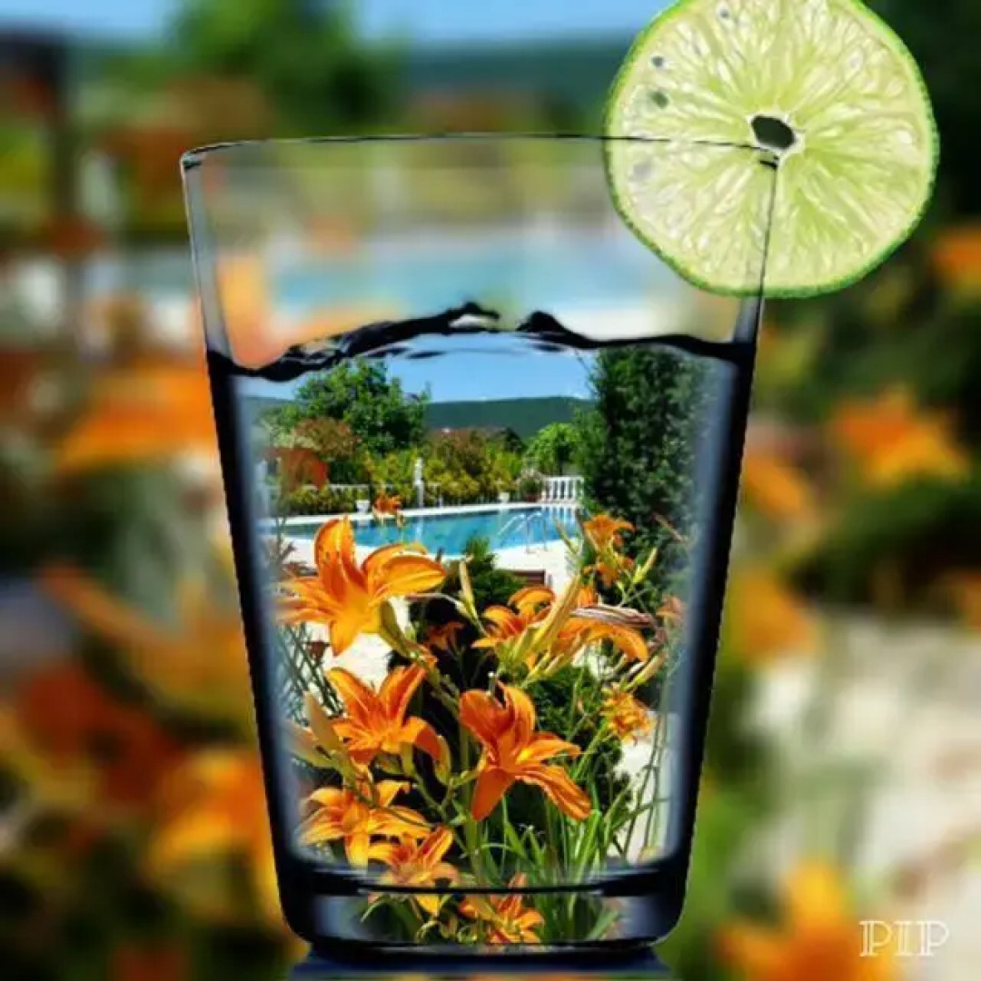 Rose Garden Guest House