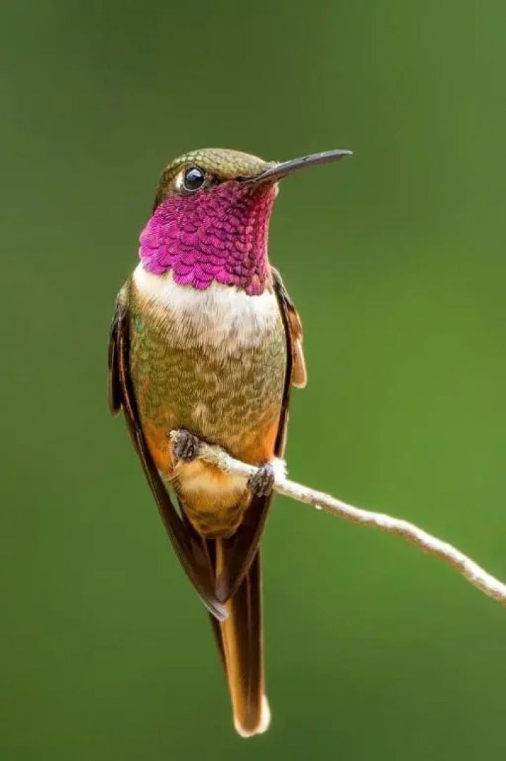 Vista el cerro cabina sangerardo