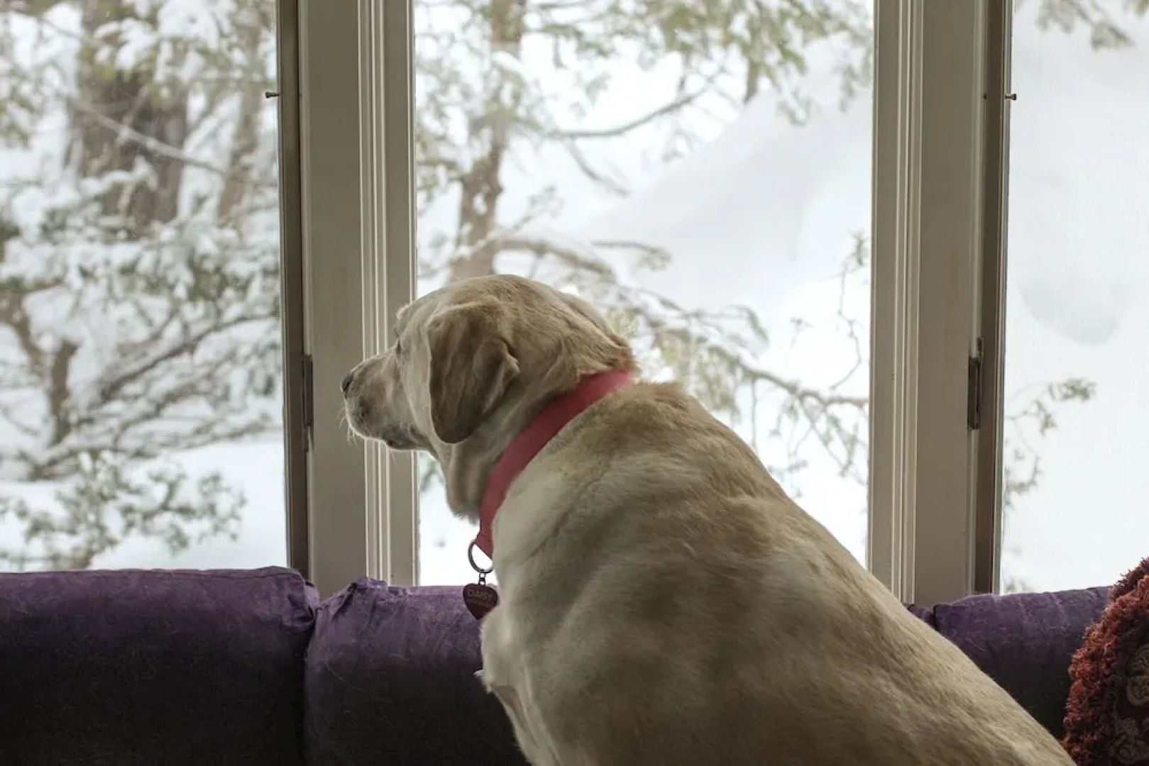 Admiral Peary Inn Bed & Breakfast