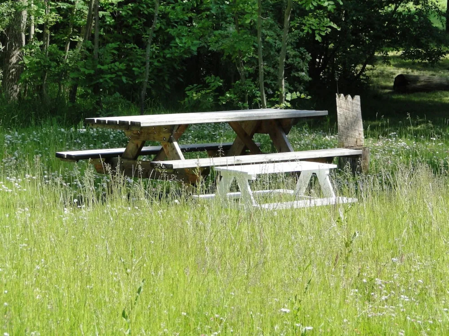 Spacious Apartment With Garden in Boisendorf