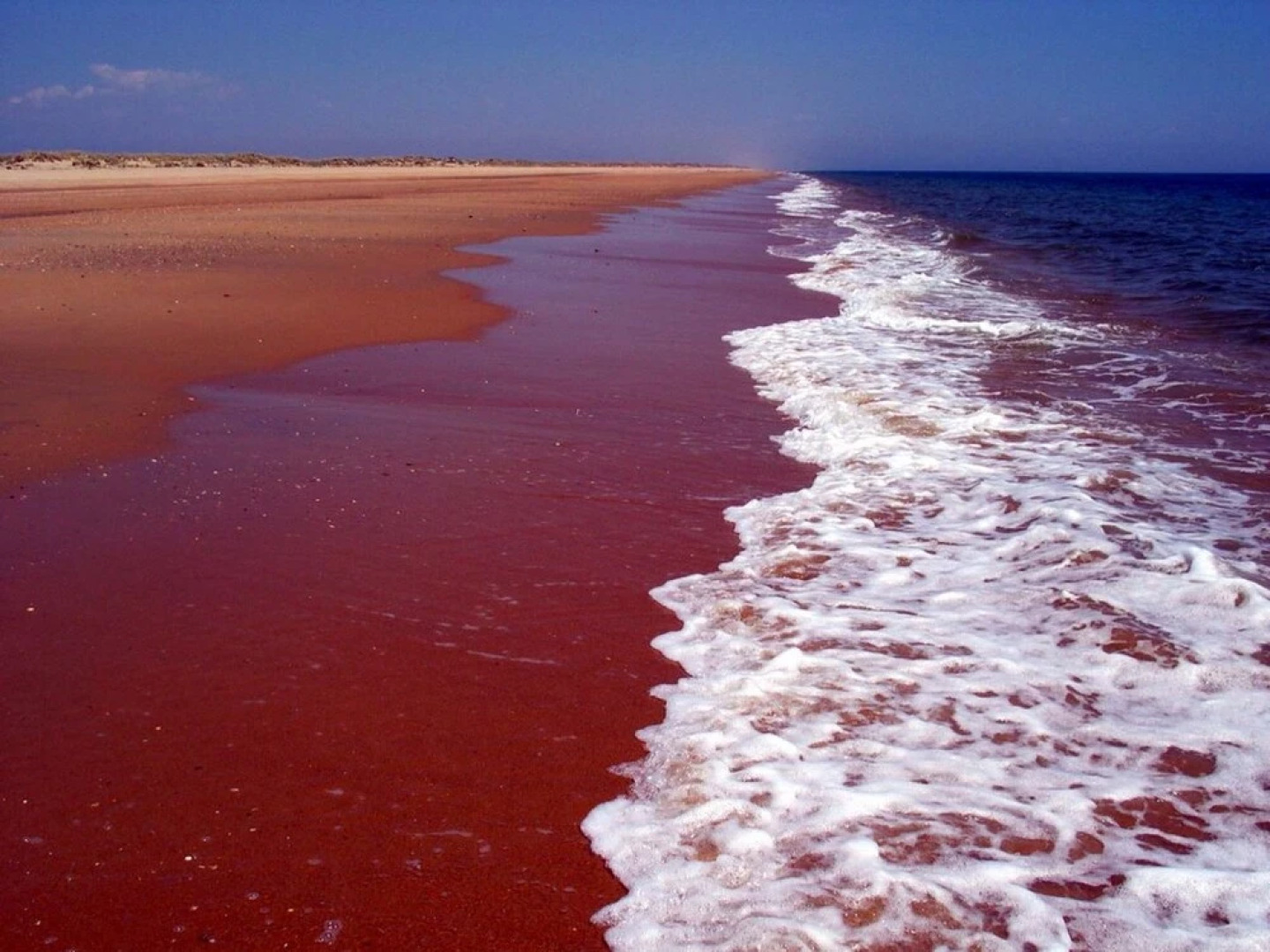 Apartment With 3 Bedrooms in El Rompido, With Wonderful sea View, Pool