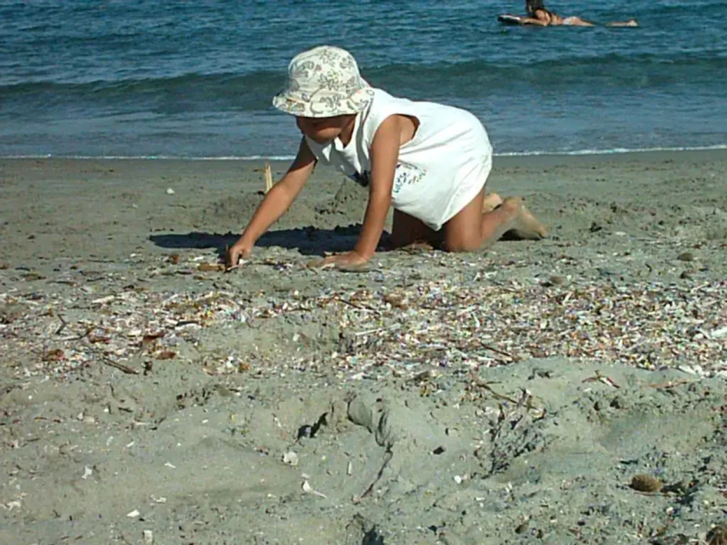 Hôtel restaurant U.Pozzu