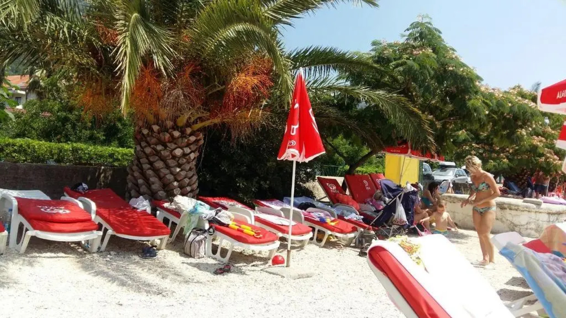 Acacia Hill, Djenovici