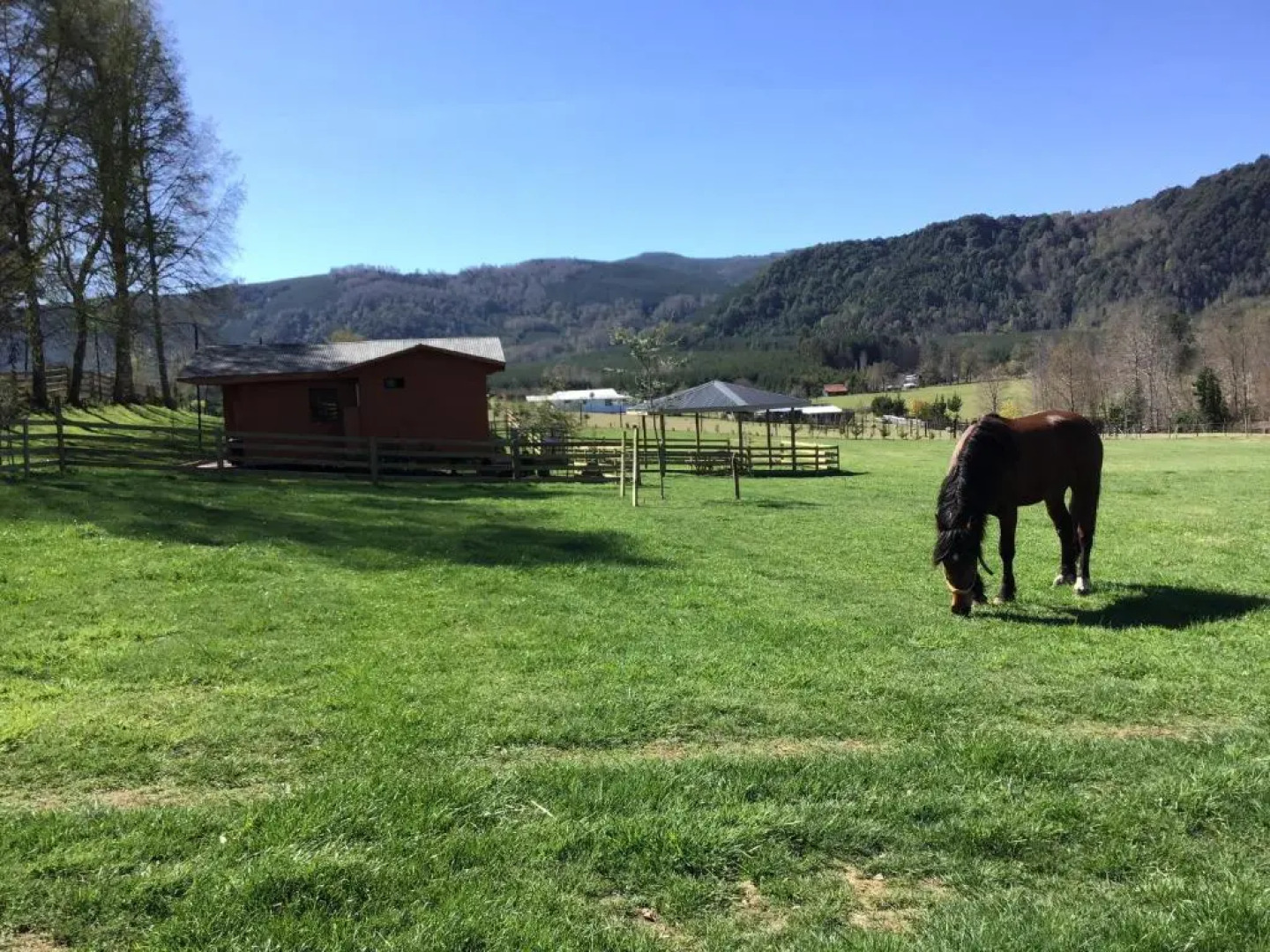 Cabañas de la Barra