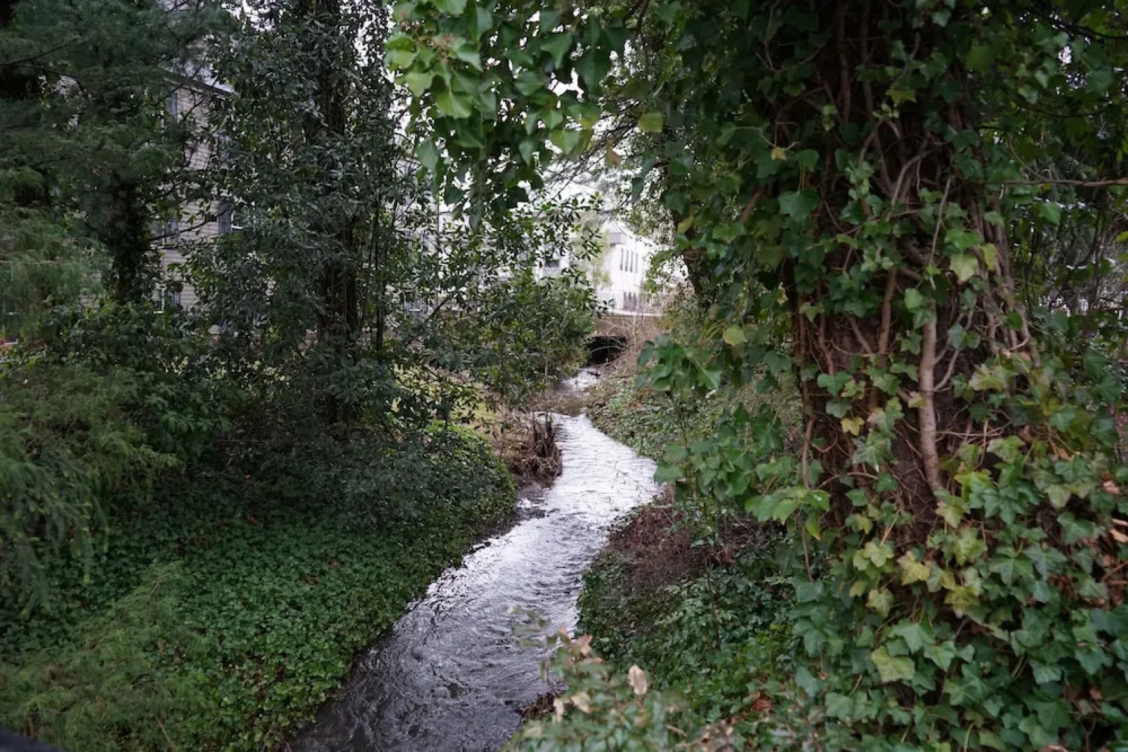 Wingate By Wyndham Bellingham Heritage Inn