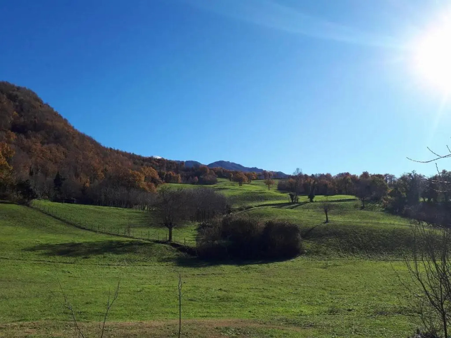 Il Gelso Room&breakfast