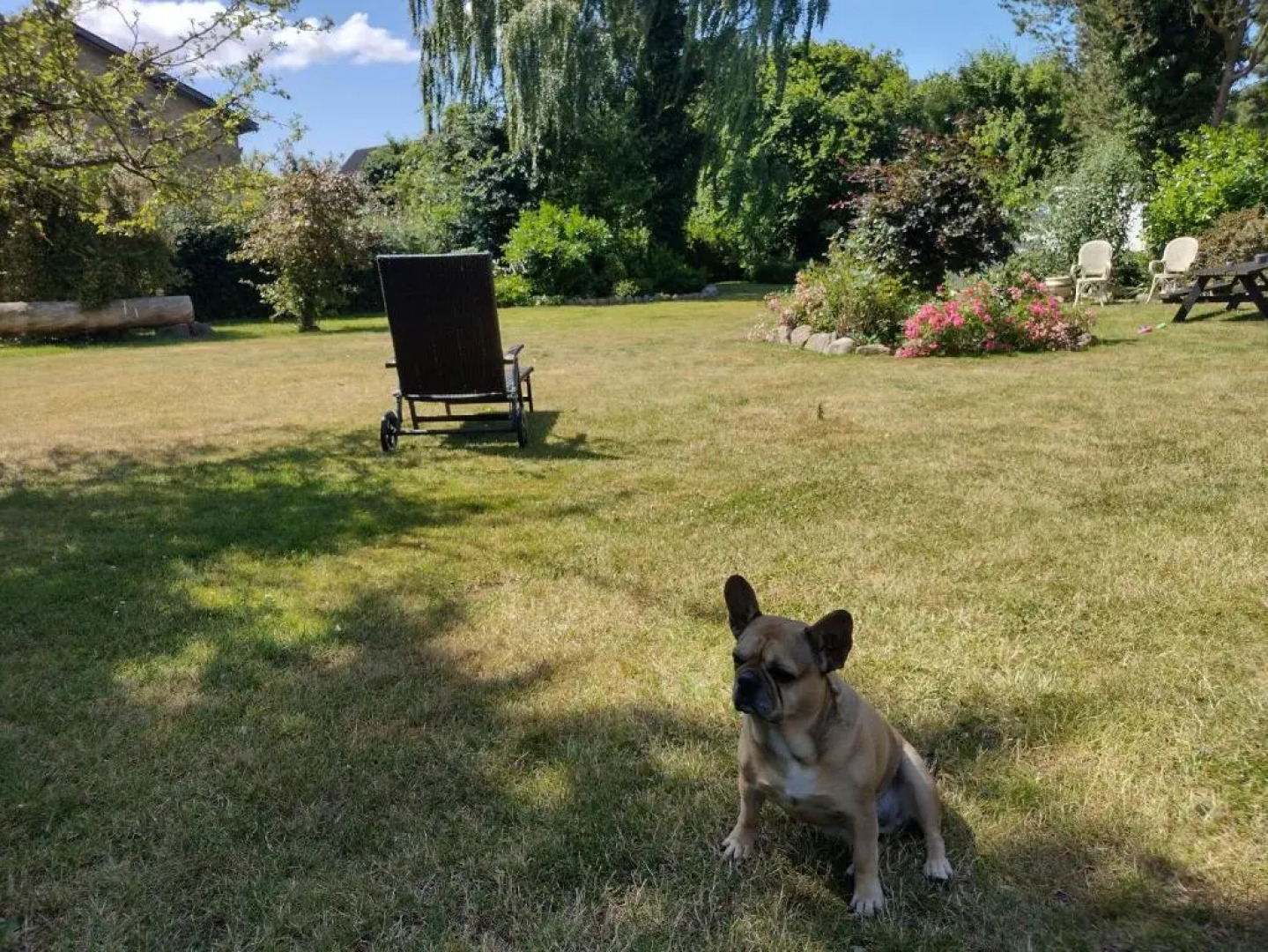 Den gamle Apotekergaard