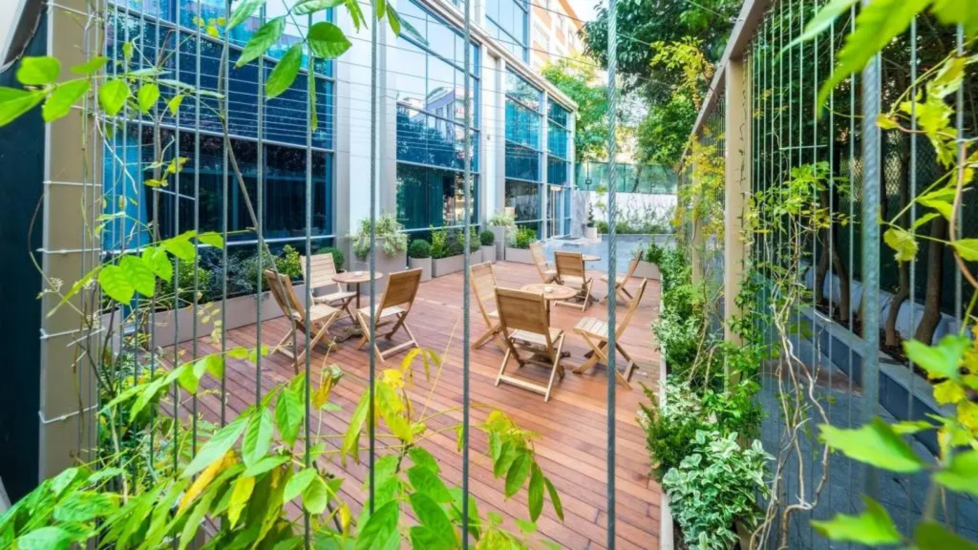 Molton Monapart Mecidiyekoy