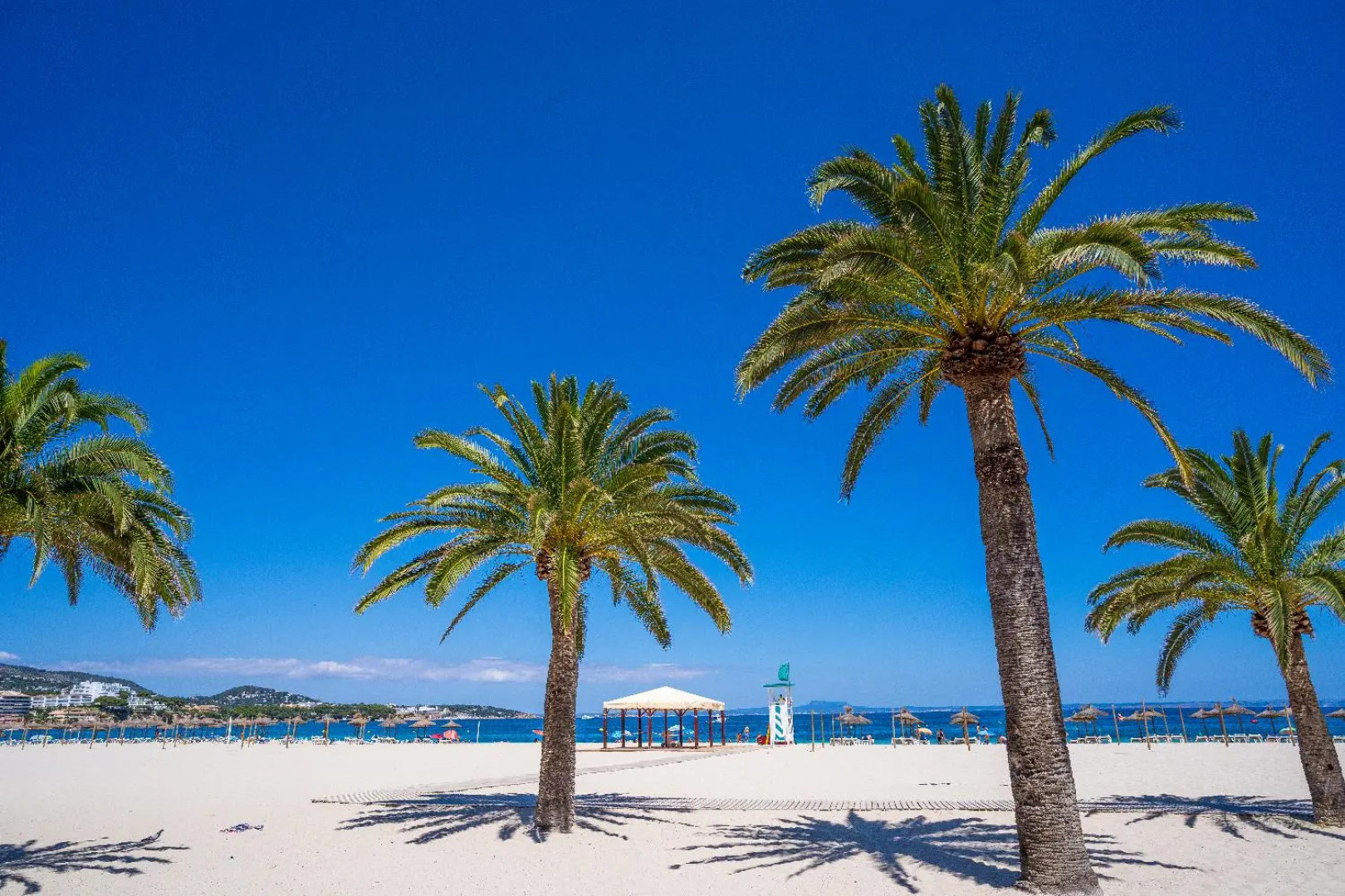 Las Palomas Apartments Econotels