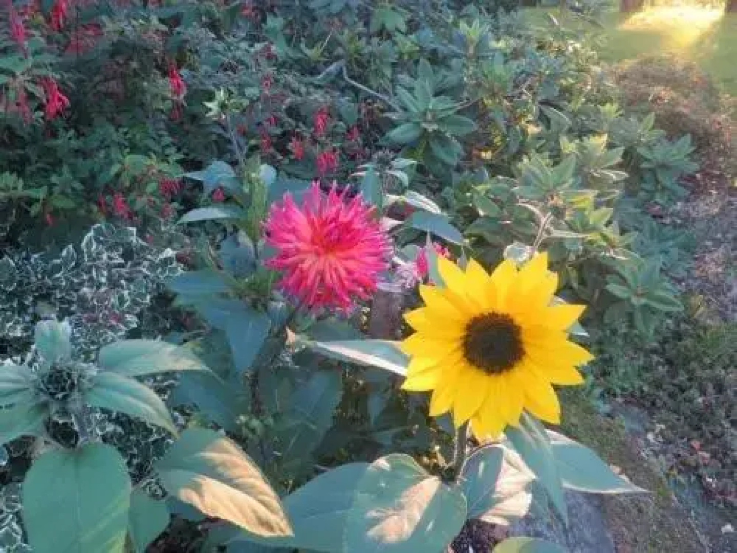 Chambres d'hôtes Ty Ruz