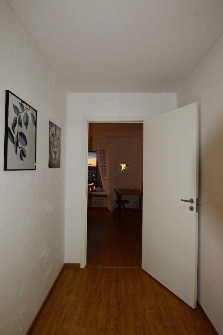 Nordic Borealis House