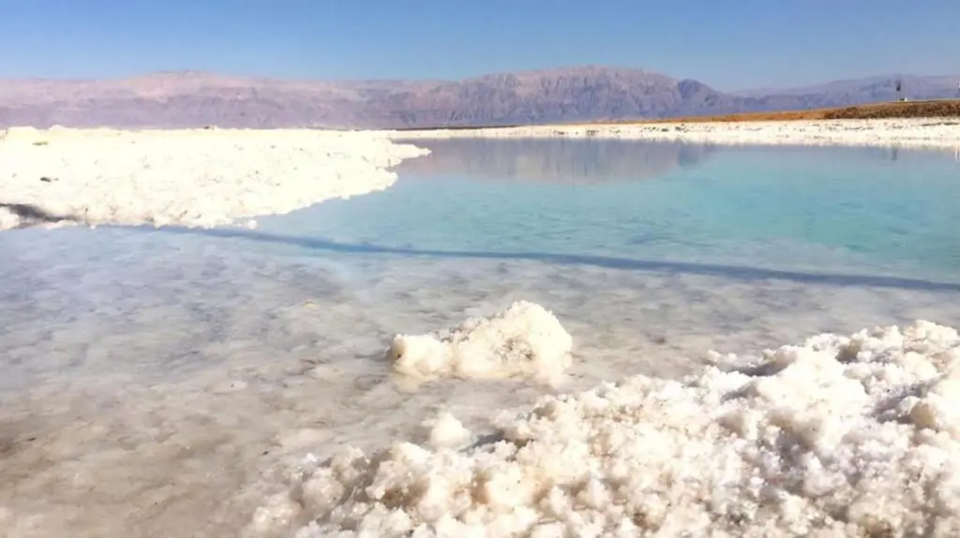 Rose Dead Sea Neve Zohar