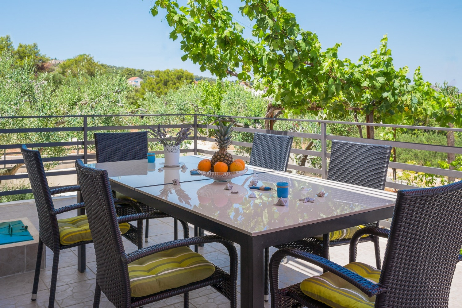 Holiday house Villa Ante - with pool: Rogac, Island Solta