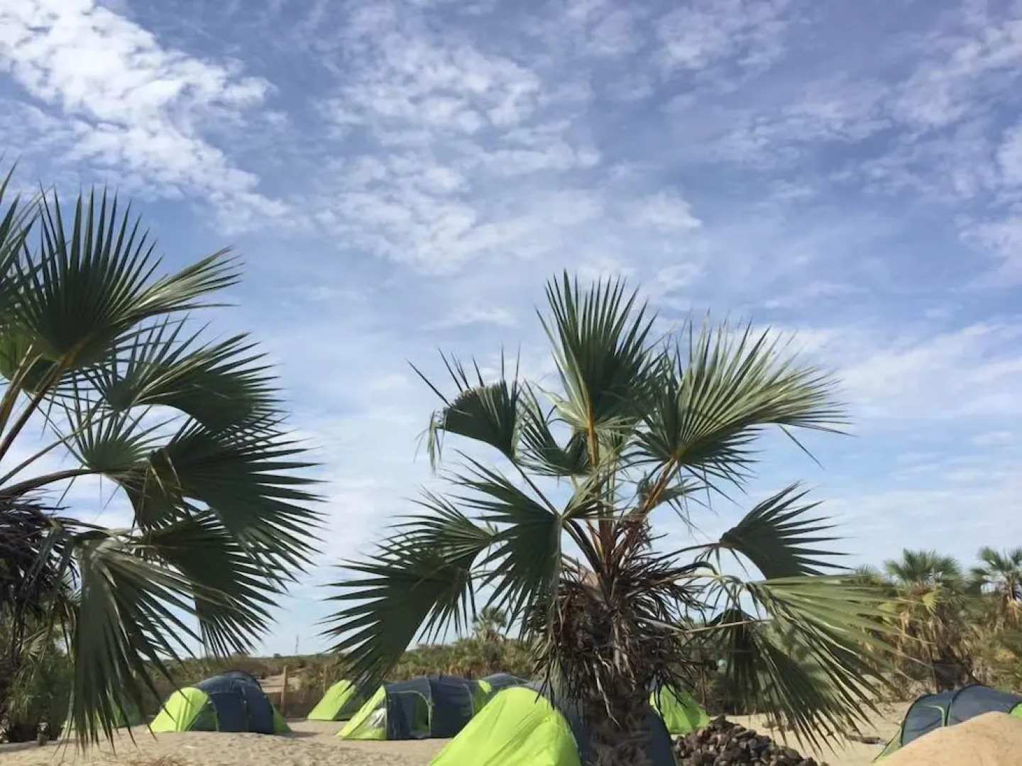 Napak Resort - Campsite