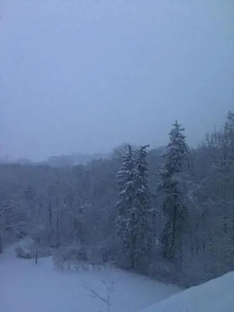 The Renwick Clifton House