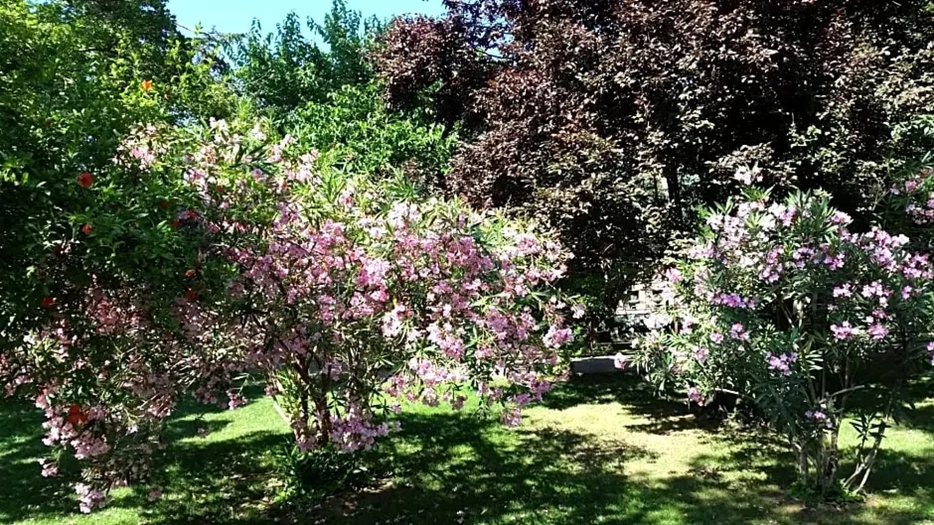 Locanda di Casa Spadoni