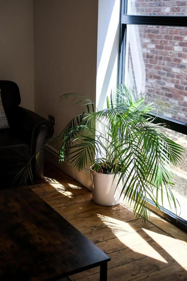 The Eden Warehouse - Pink Apartment (sleeps 4)