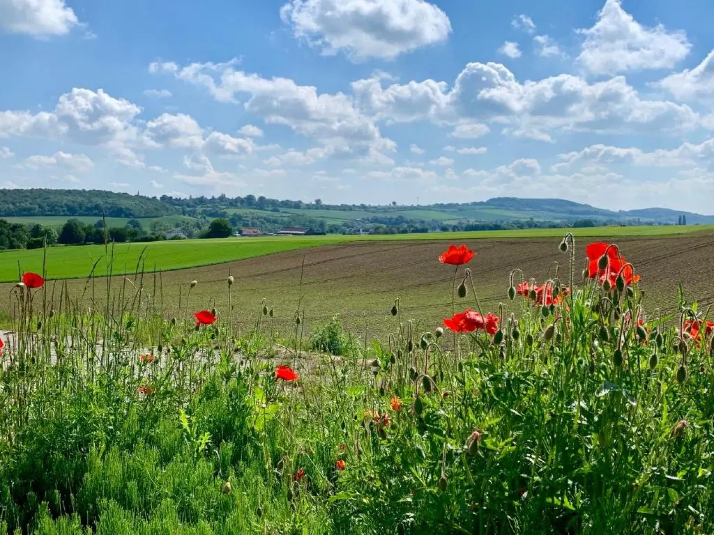 Appartementen De Zegelskoël