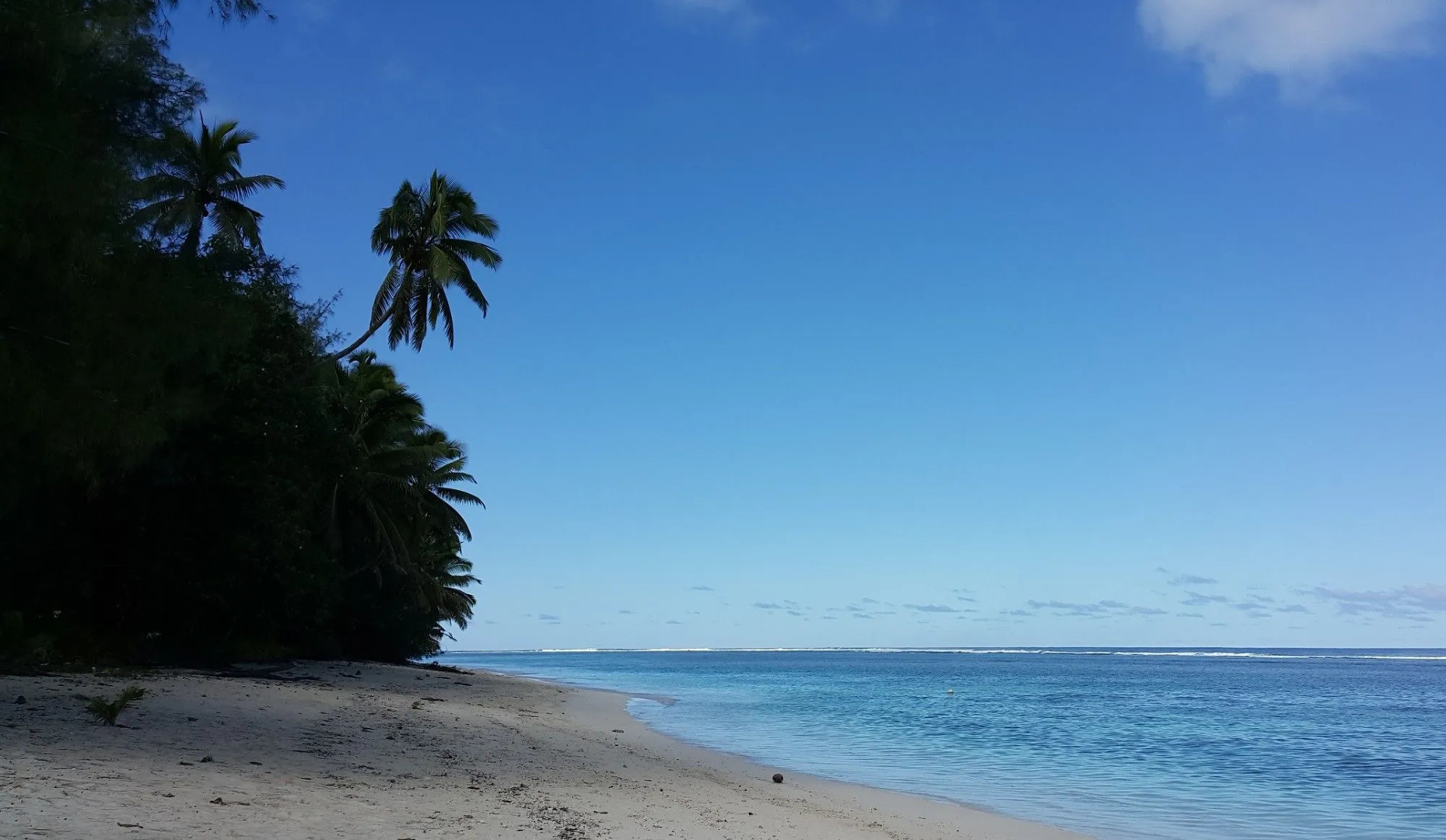 The Black Pearl Beach Side Apartments