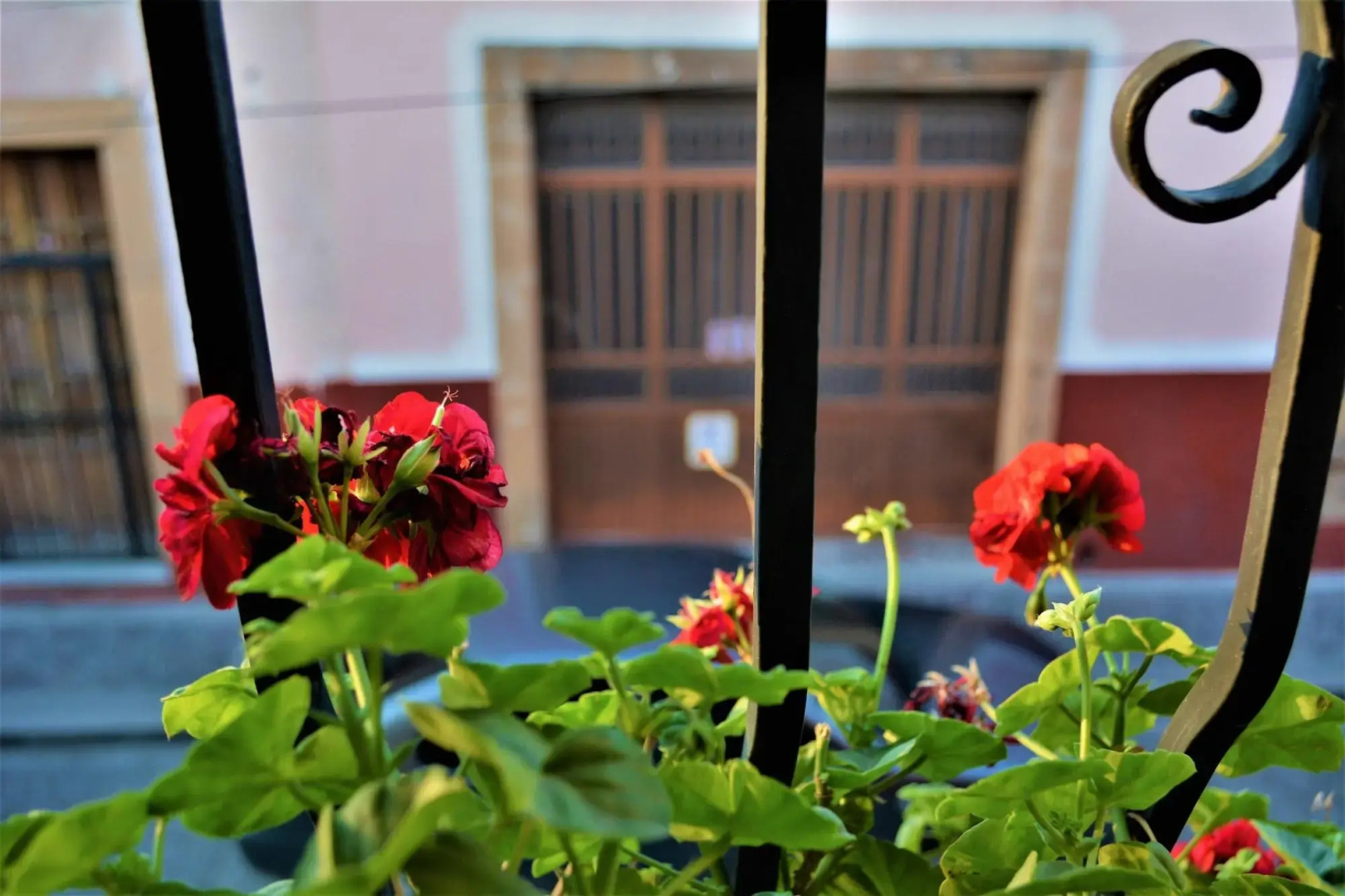 Casa Marfil - Hostel