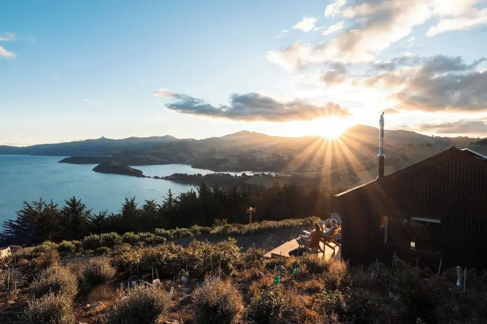 Kūkupa Matairangi at Akaroa Lavender