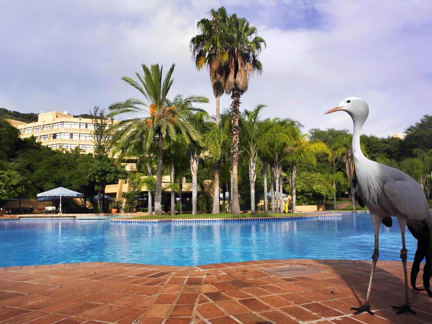 Sun City Hotel and Casino