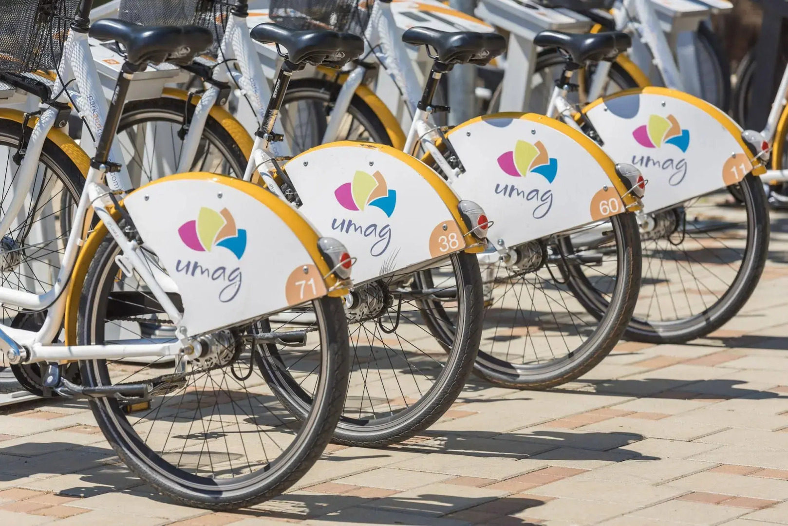 Apartments Stella Plava Laguna