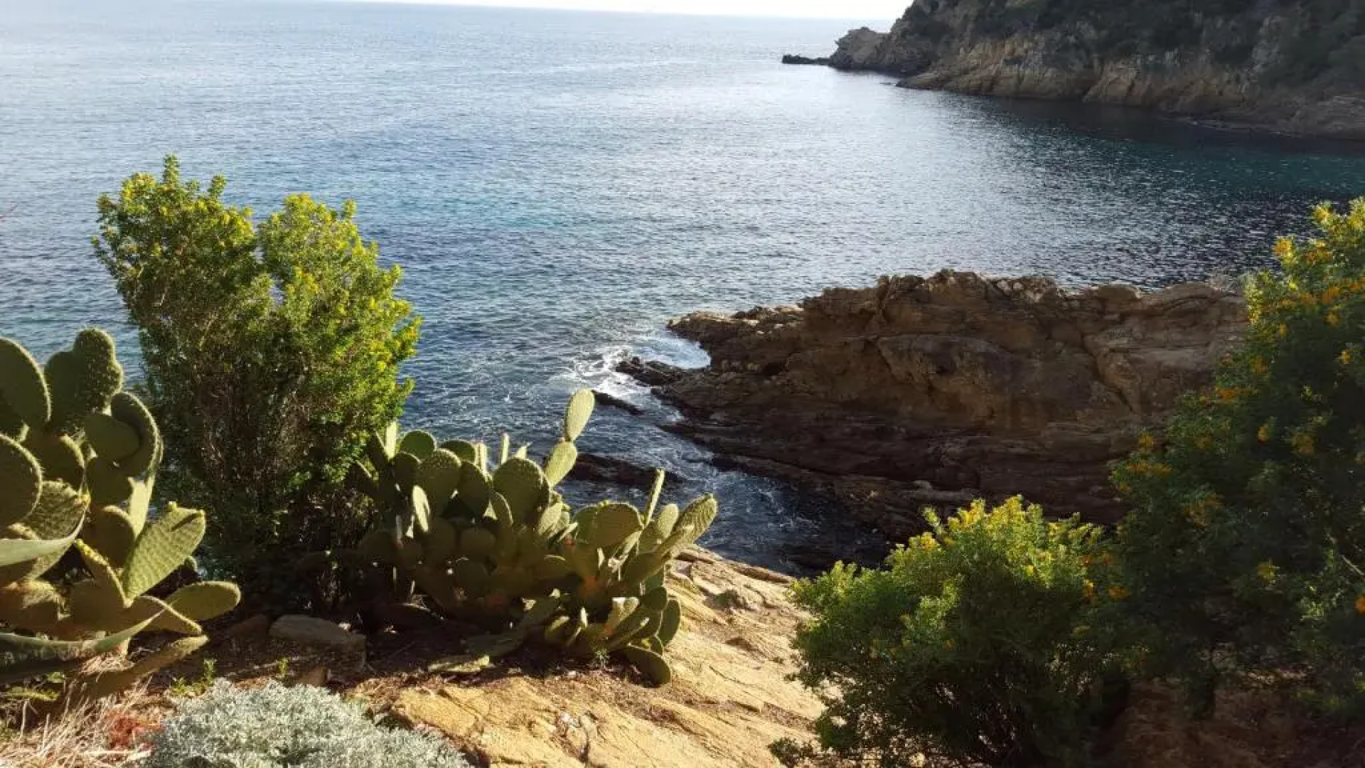 65 Rue Pierre Rameil Appartement