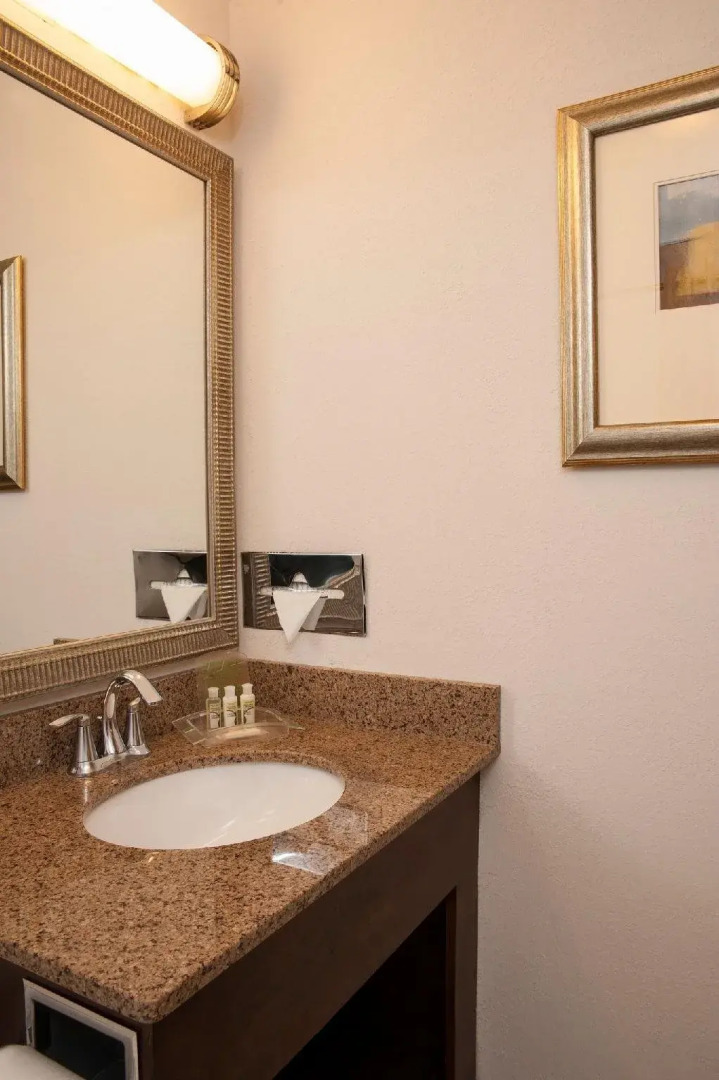 Holiday Inn Itasca - Woodfield Area