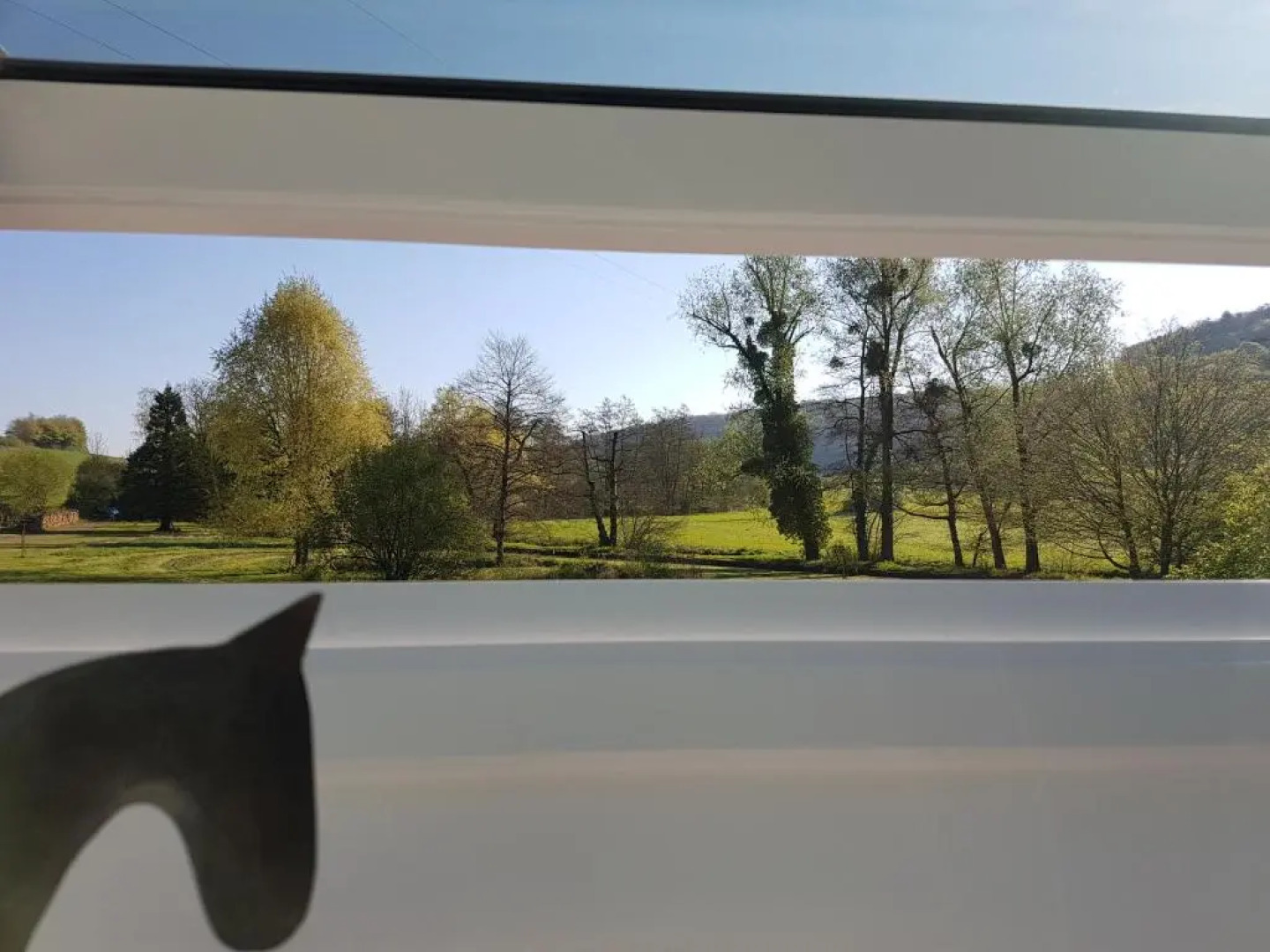 Domaine Le Puits du Moulin