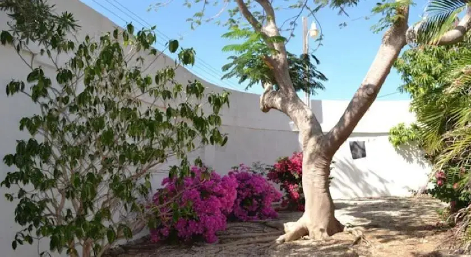 Guesthouse Aruba