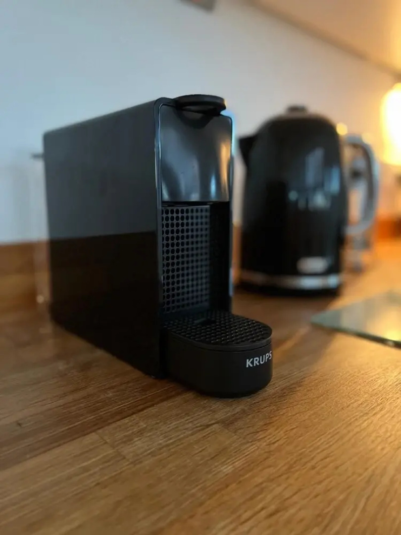 Seashells in Woolacombe