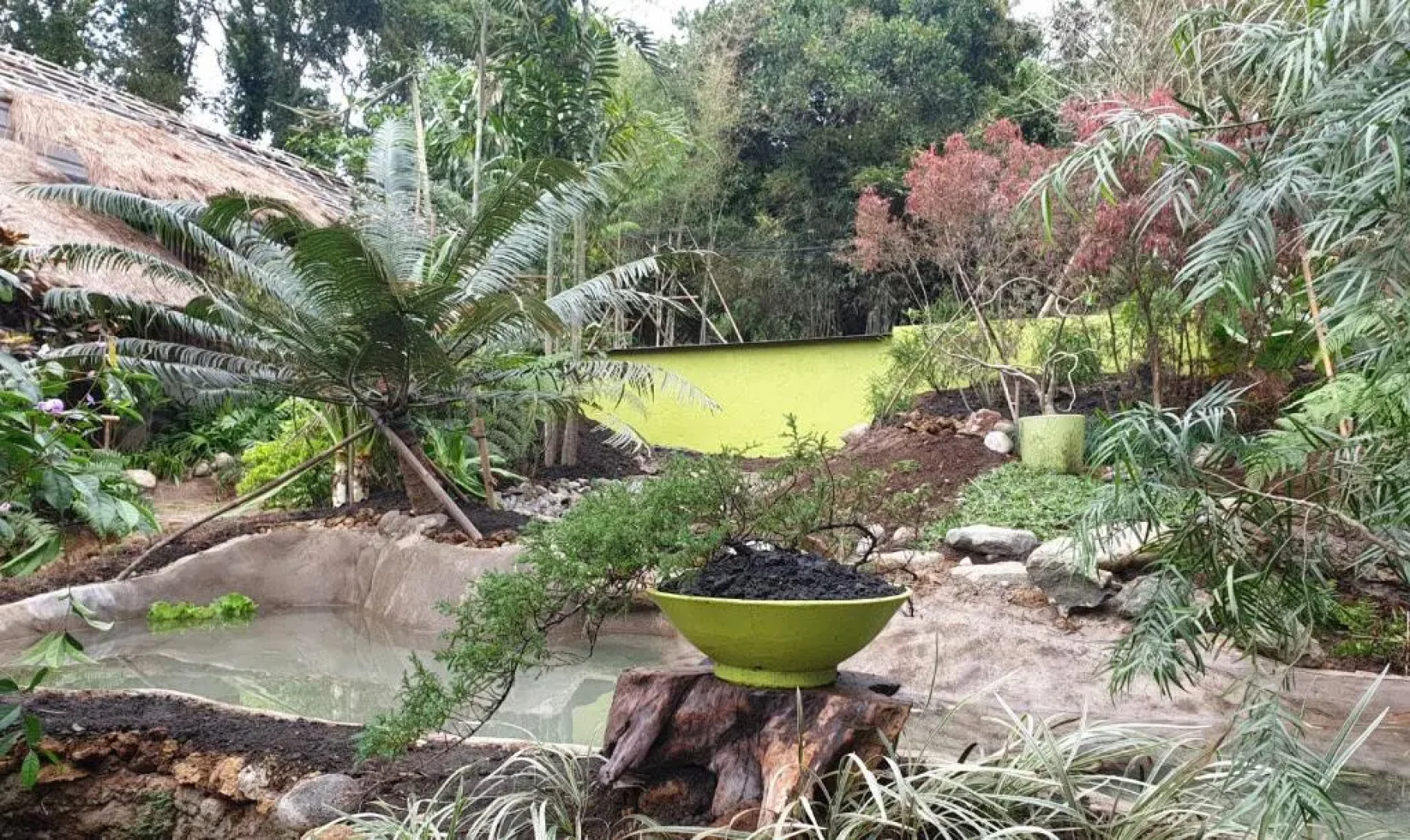 Maka-Kalinaw 5 Wabi sabi Room, Forest Deck View