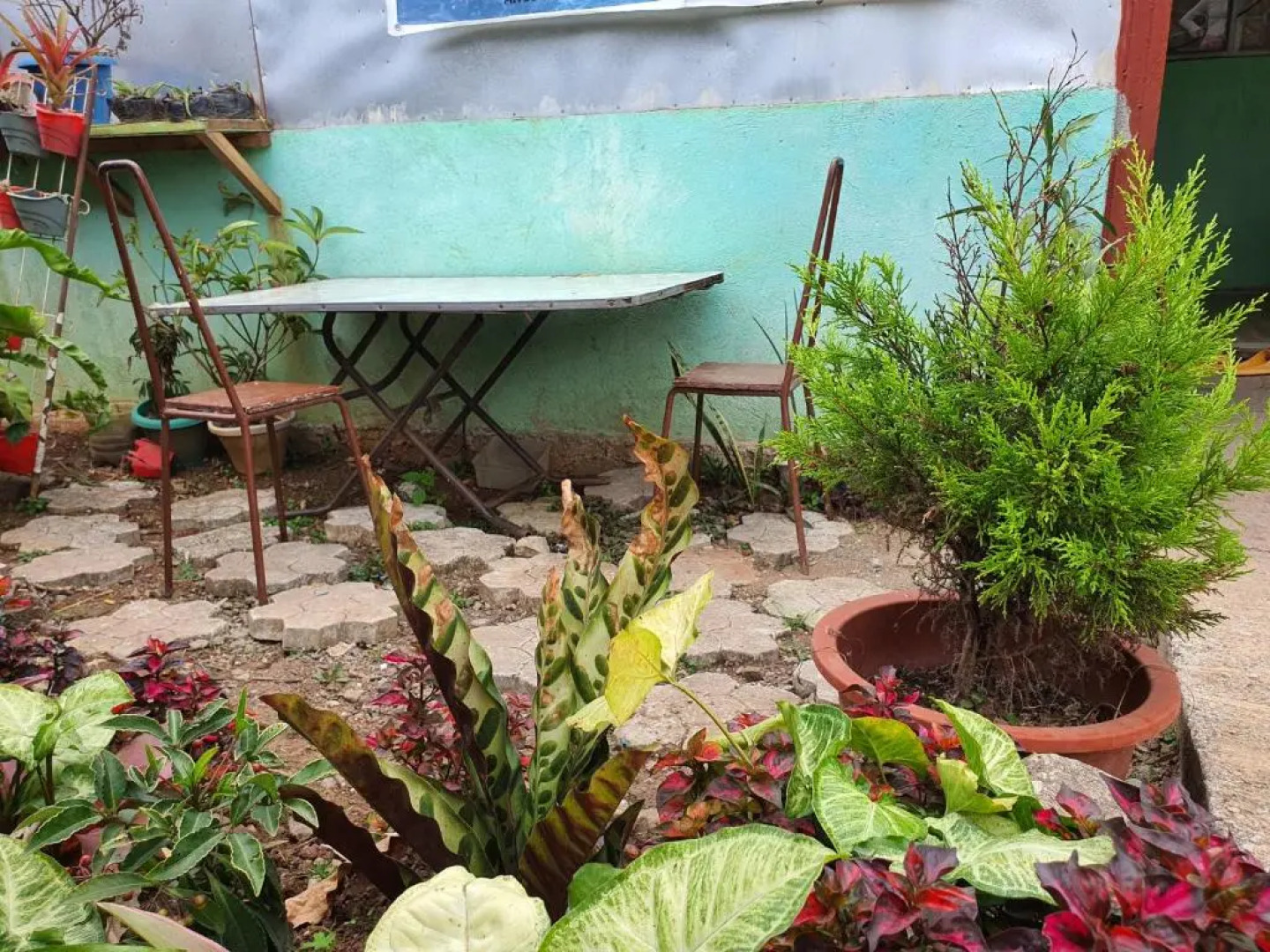 Adelle's Transient, spacious 3-bedroom homestay