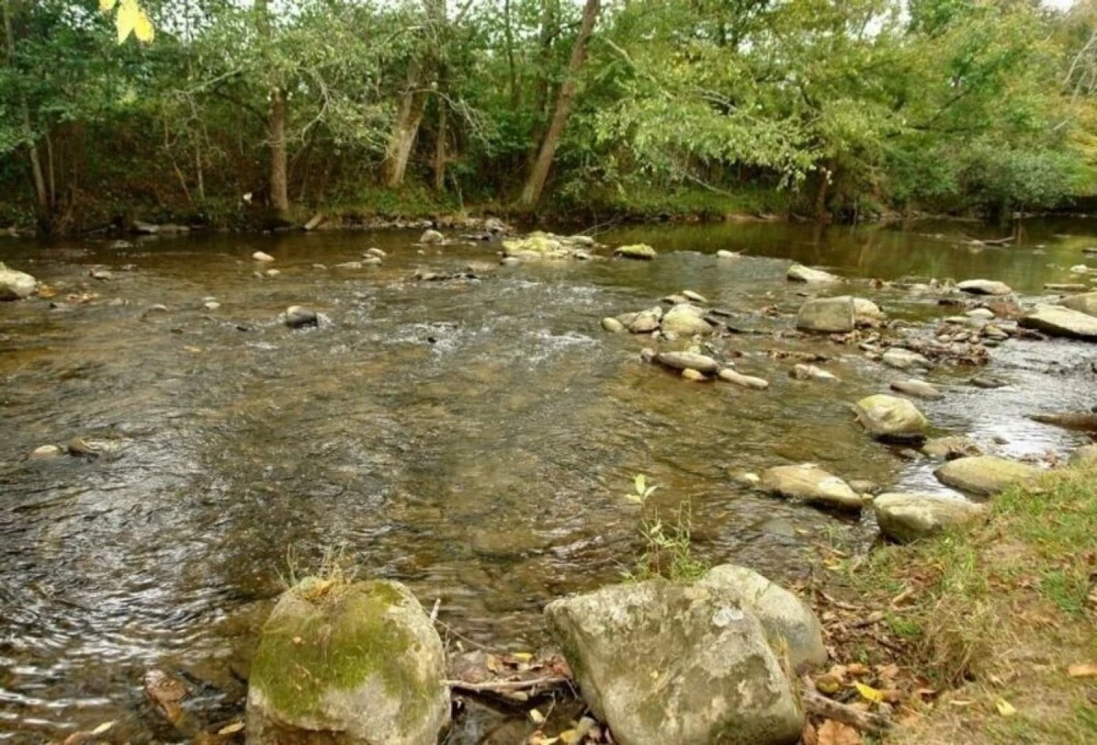 Lamb's Cabin by the Creek - 3 Br Cabin