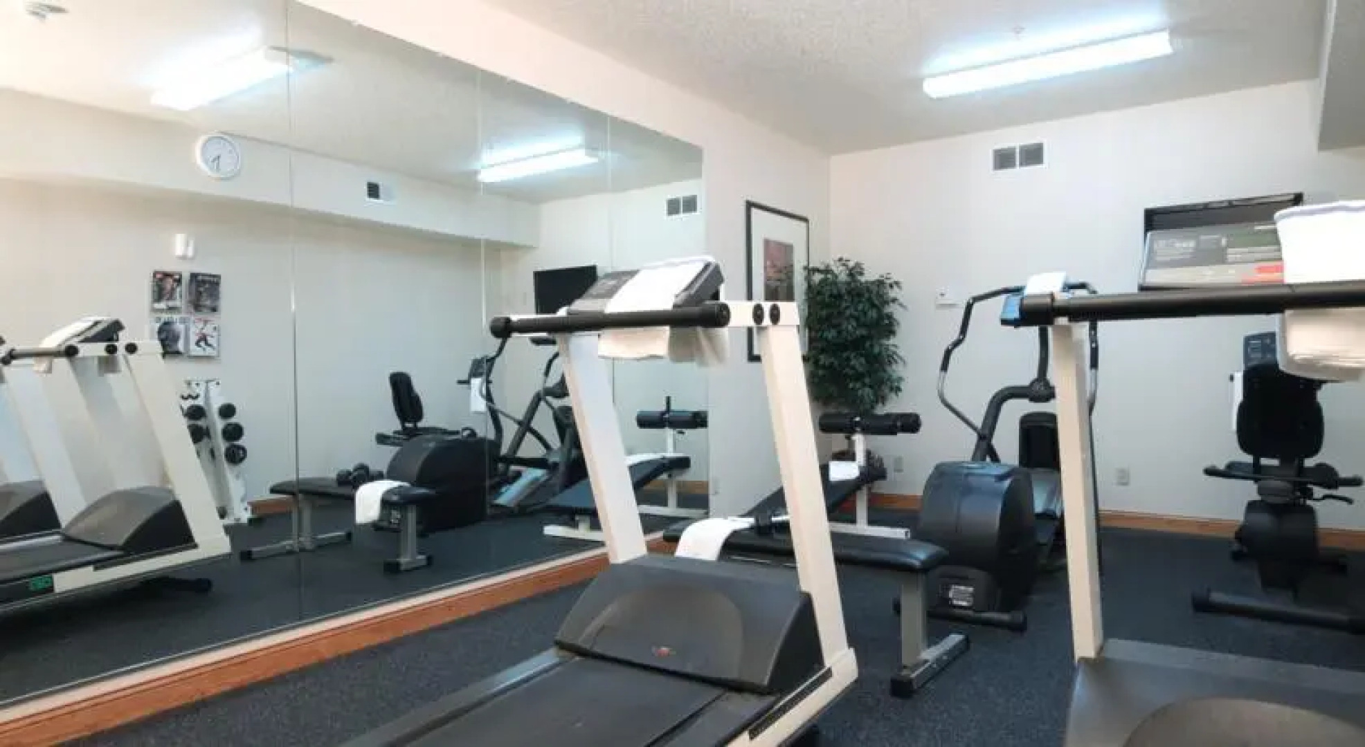 Country Inn & Suites