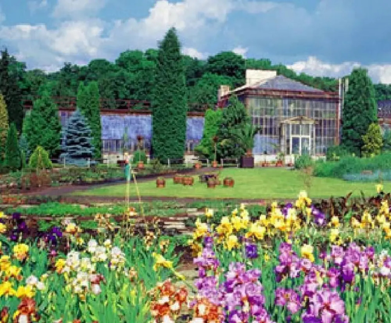 Apartment J Chymov 3