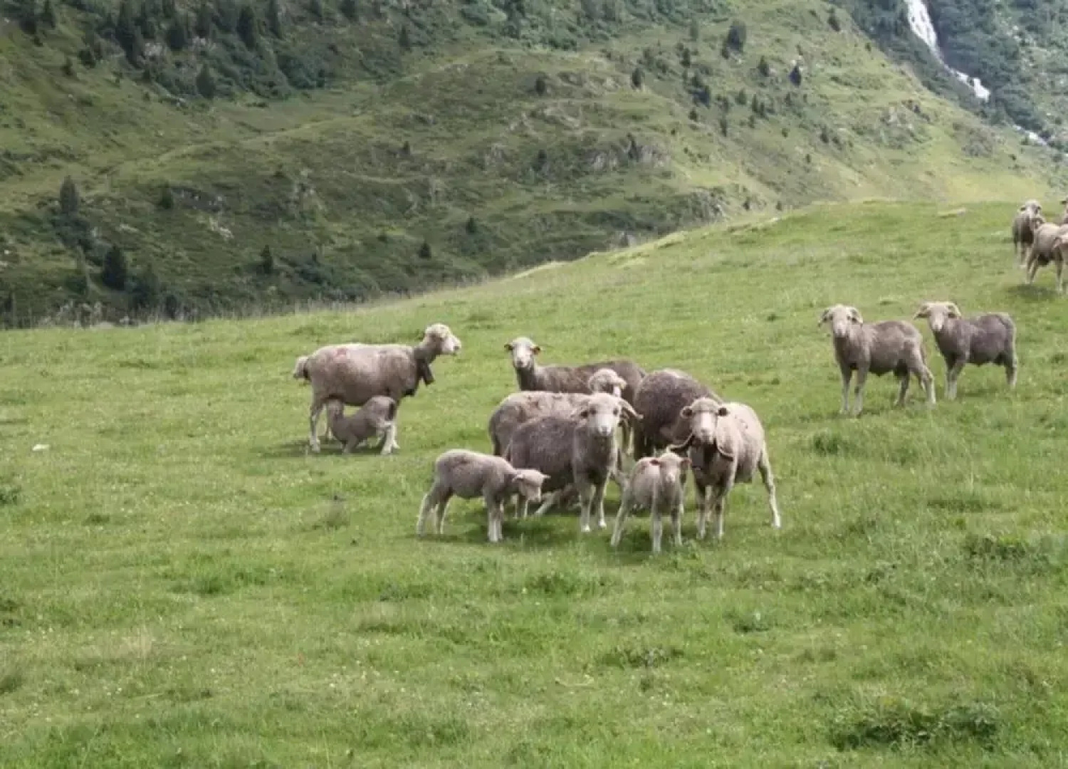 Studio in Saint-sorlin Near Ski Slopes