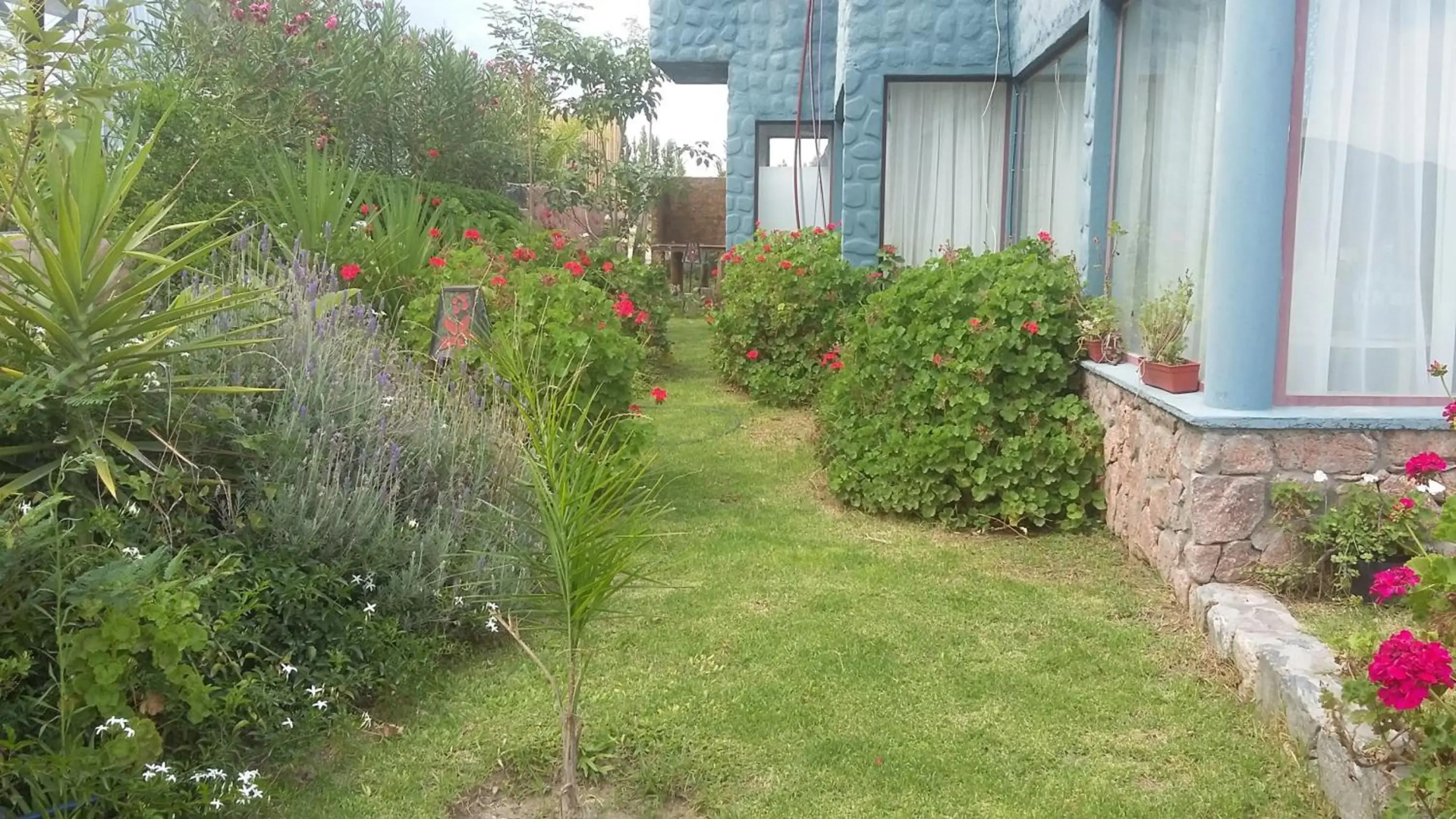 Cabañas Cafayate II